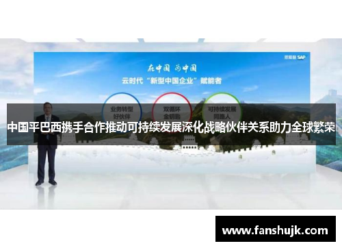 中国平巴西携手合作推动可持续发展深化战略伙伴关系助力全球繁荣