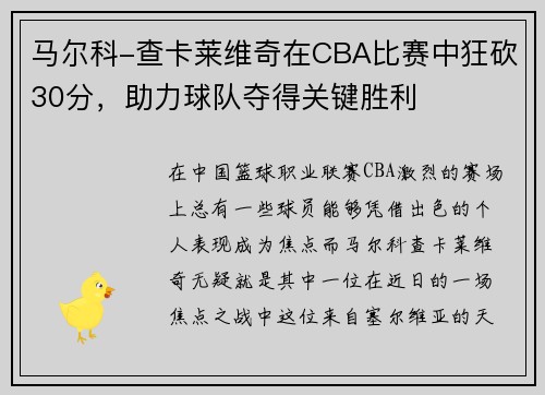 马尔科-查卡莱维奇在CBA比赛中狂砍30分，助力球队夺得关键胜利